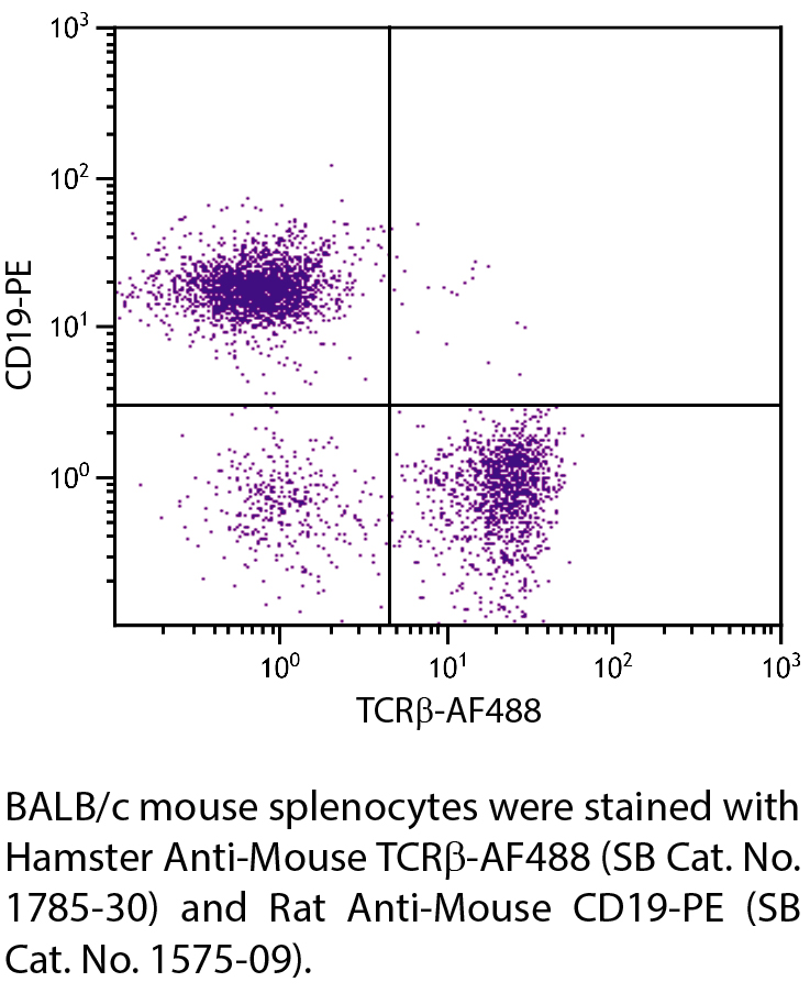 Hamster Anti-Mouse TCRβ-AF488 - 0.1 mg
