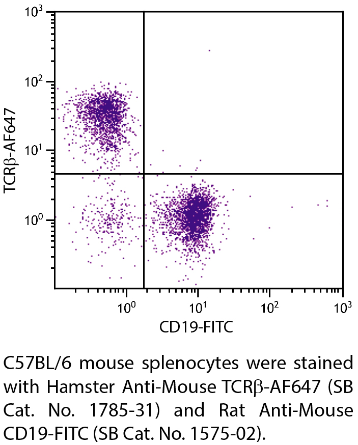 Hamster Anti-Mouse TCRβ-AF647 - 0.1 mg