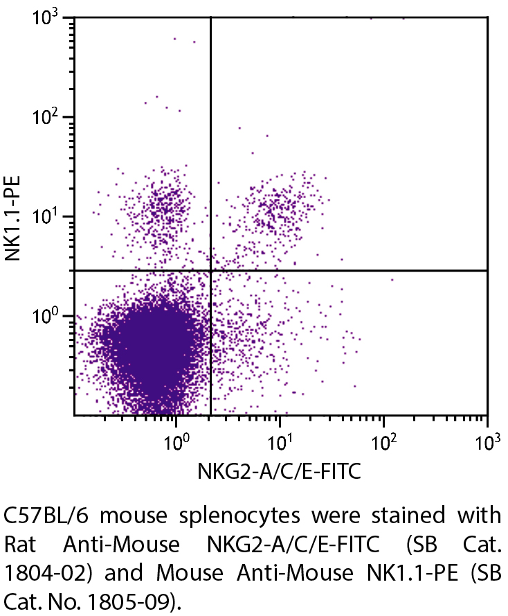 Rat Anti-Mouse NKG2-A/C/E-FITC - 0.5 mg