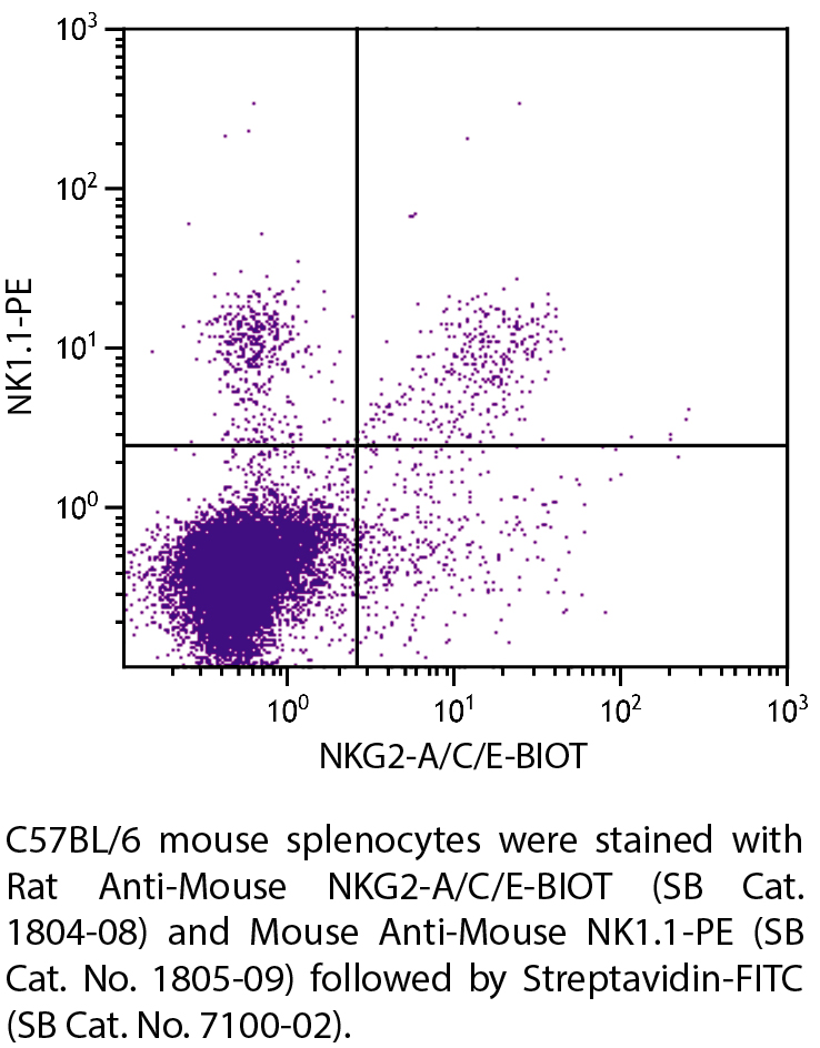 Rat Anti-Mouse NKG2-A/C/E-BIOT - 0.5 mg