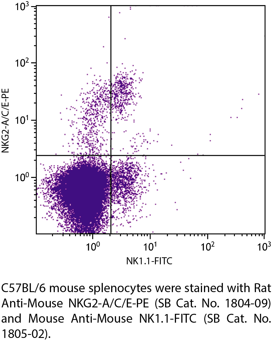 Rat Anti-Mouse NKG2-A/C/E-PE - 0.1 mg