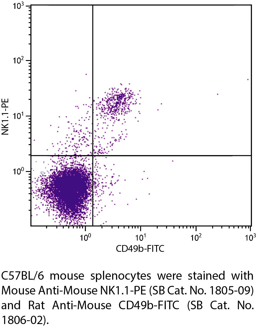 Mouse Anti-Mouse NK1.1-PE - 0.1 mg