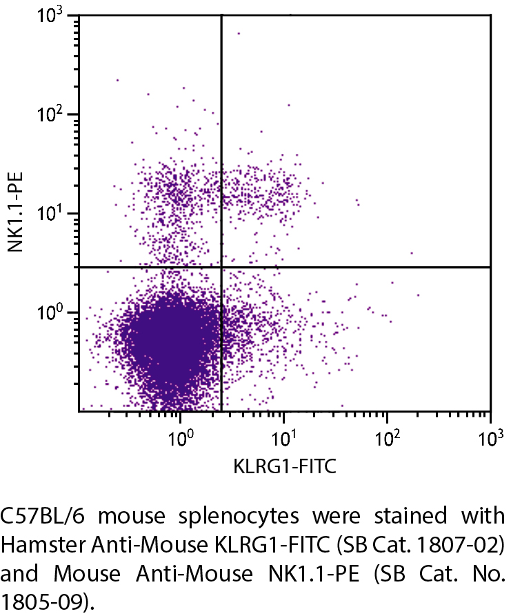 Hamster Anti-Mouse KLRG1-FITC - 0.5 mg