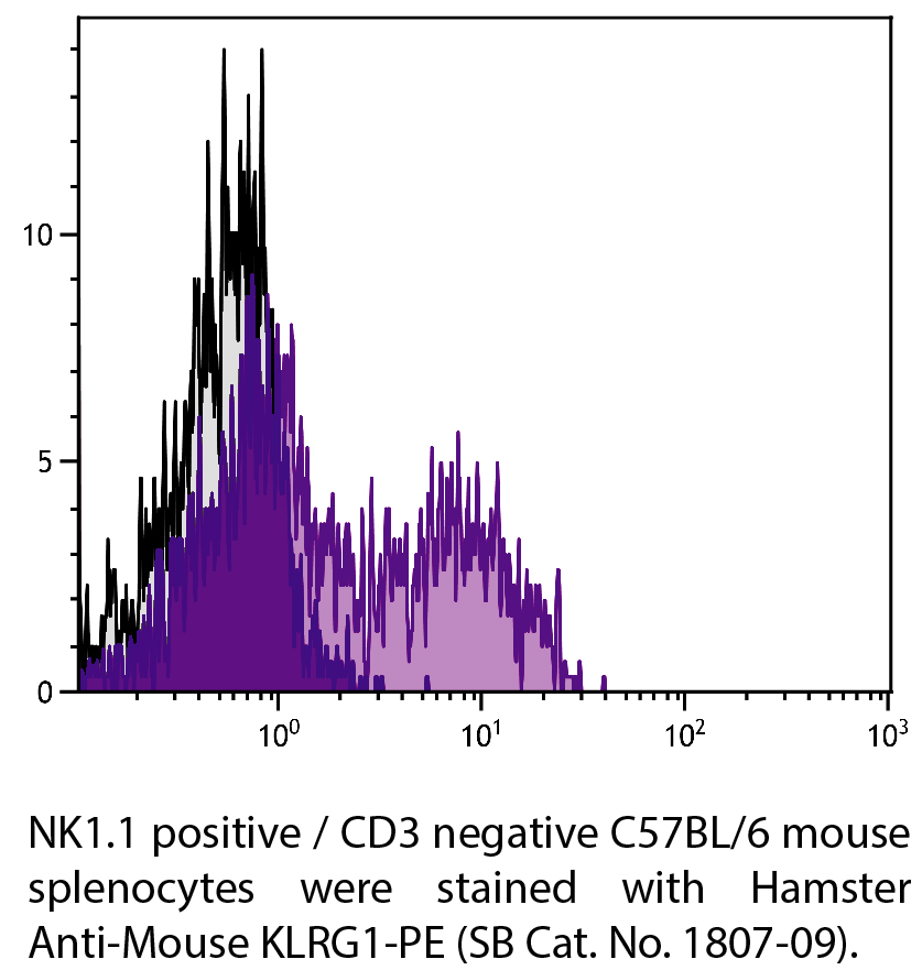 Hamster Anti-Mouse KLRG1-PE - 0.1 mg