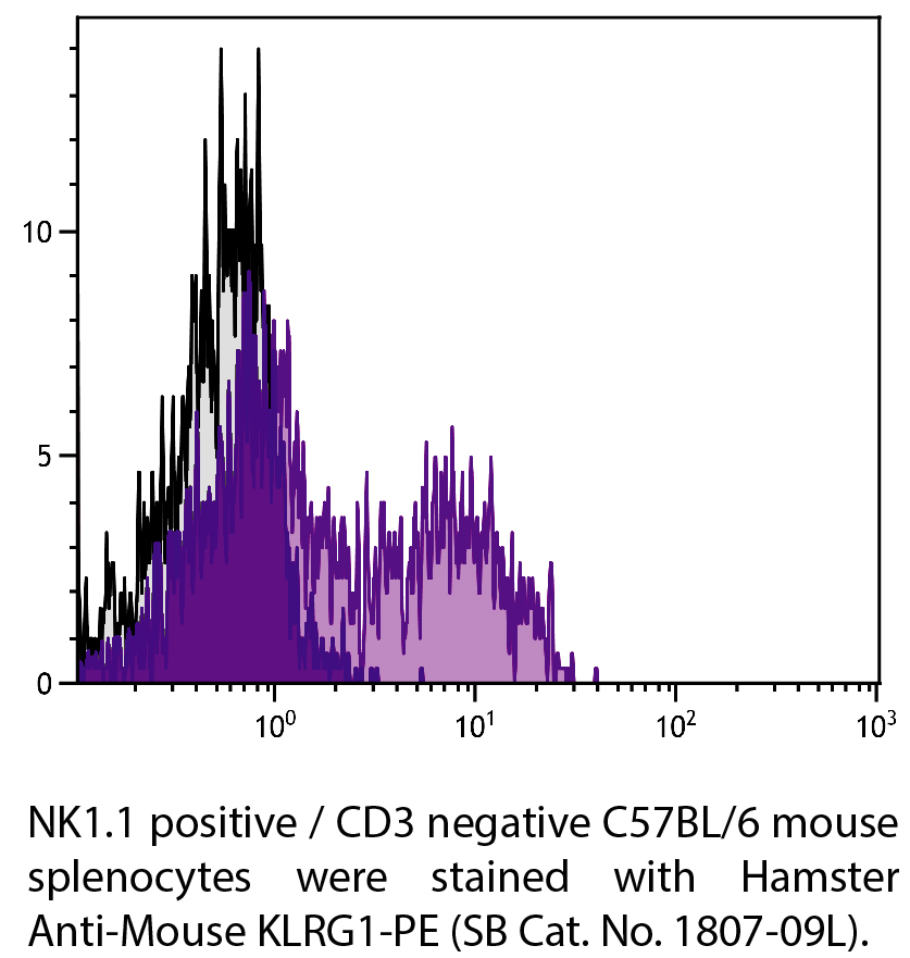 Hamster Anti-Mouse KLRG1-PE - 0.2 mg