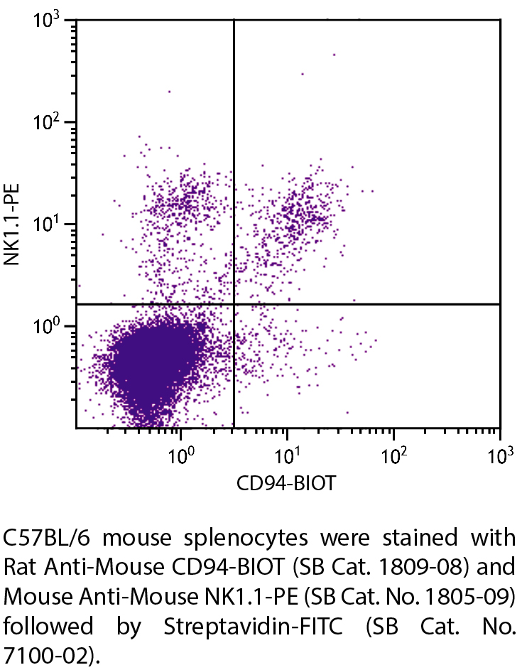 Rat Anti-Mouse CD94-BIOT - 0.5 mg