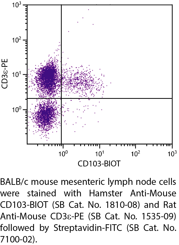 Hamster Anti-Mouse CD103-BIOT - 0.5 mg