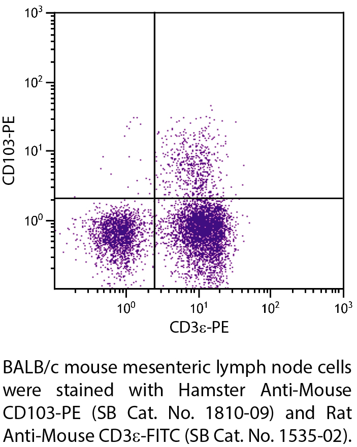 Hamster Anti-Mouse CD103-PE - 0.1 mg