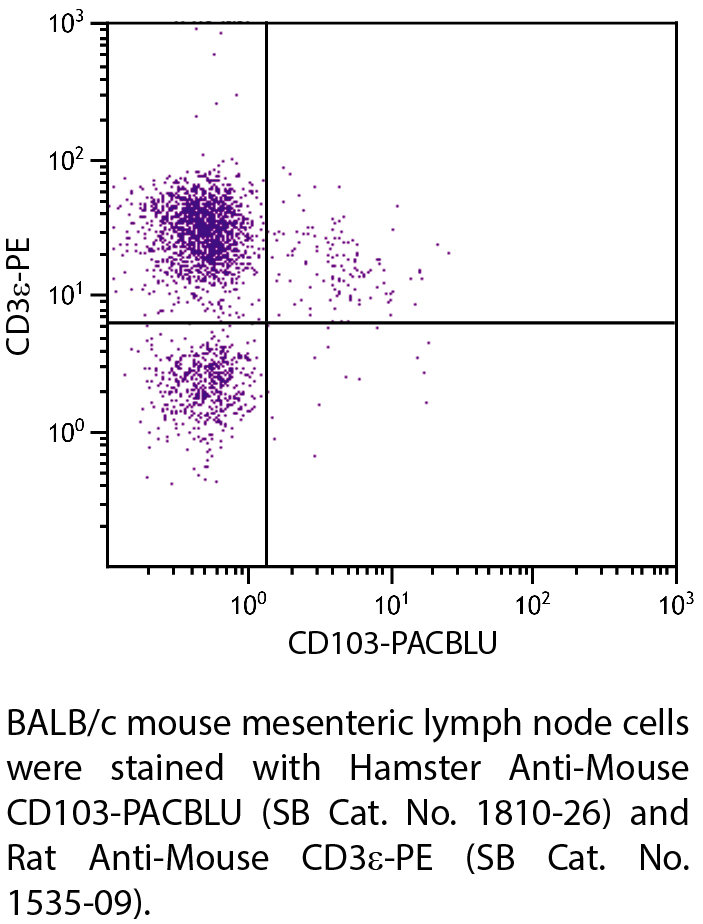 Hamster Anti-Mouse CD103-PACBLU - 0.1 mg