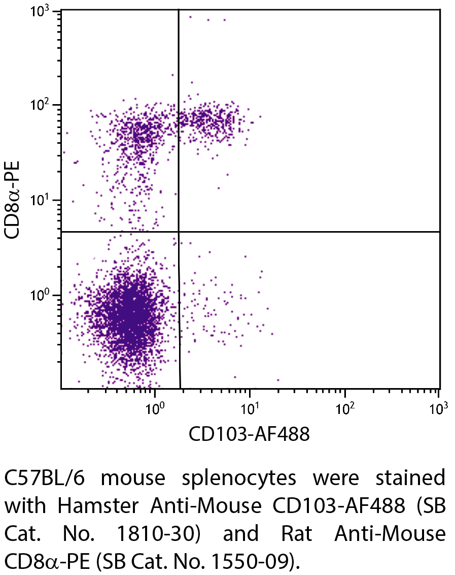 Hamster Anti-Mouse CD103-AF488 - 0.1 mg