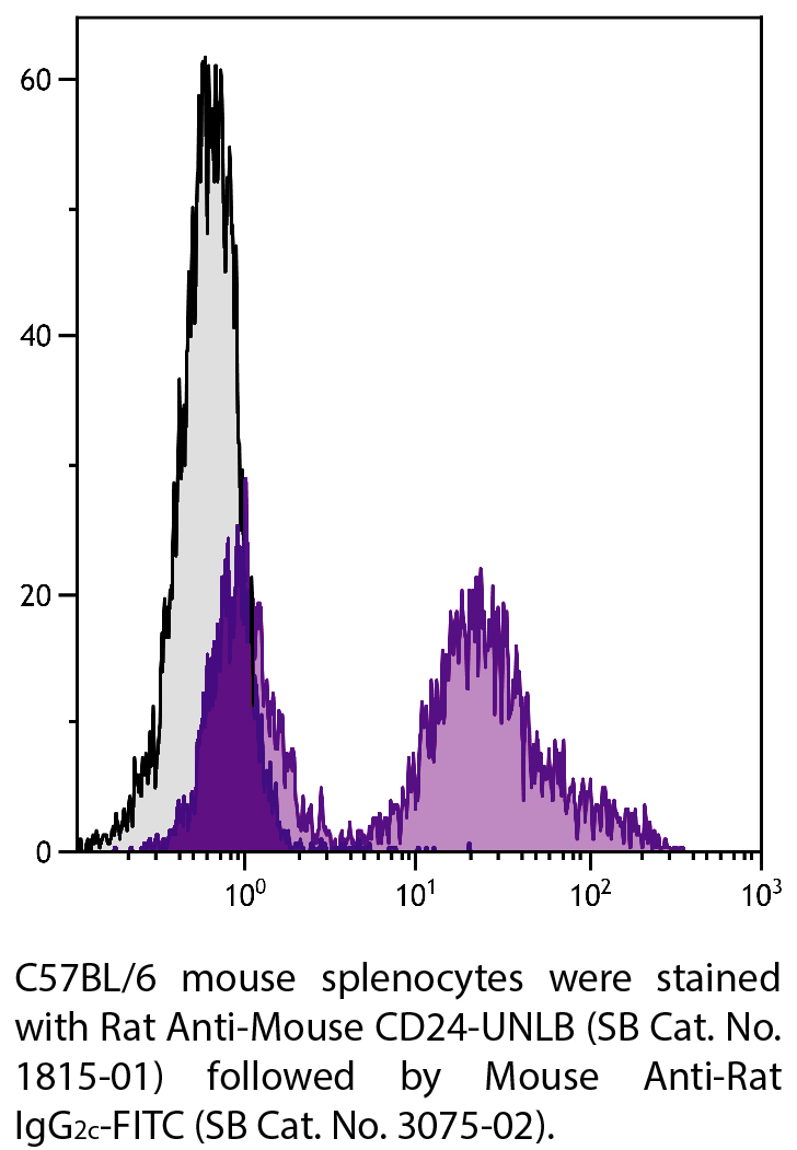 Rat Anti-Mouse CD24-UNLB - 0.5 mg