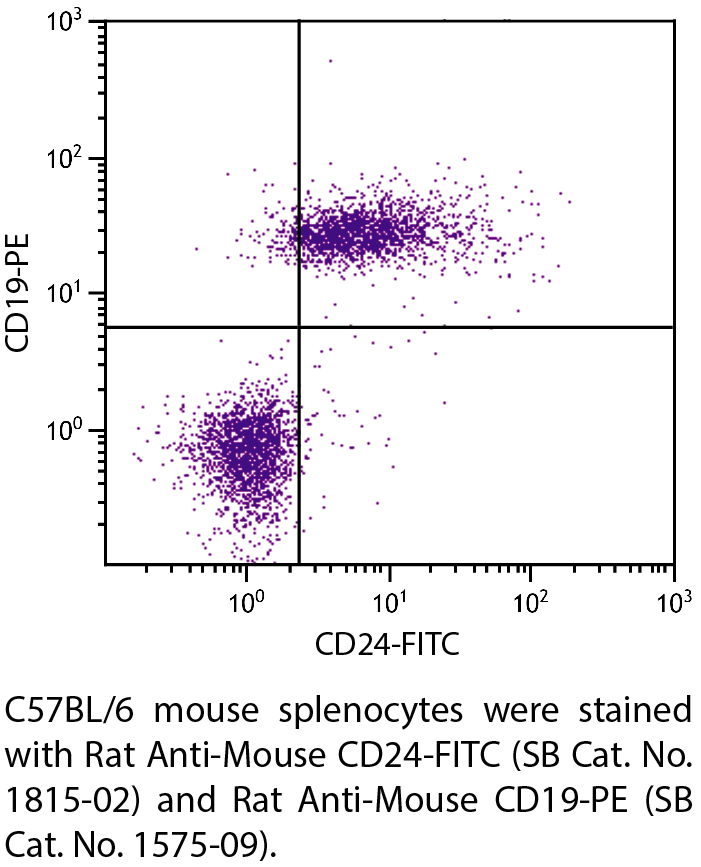 Rat Anti-Mouse CD24-FITC - 0.5 mg