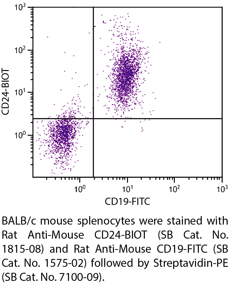 Rat Anti-Mouse CD24-BIOT - 0.5 mg