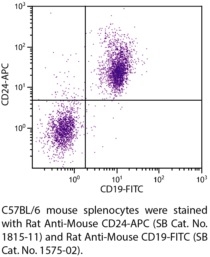 Rat Anti-Mouse CD24-APC - 0.1 mg