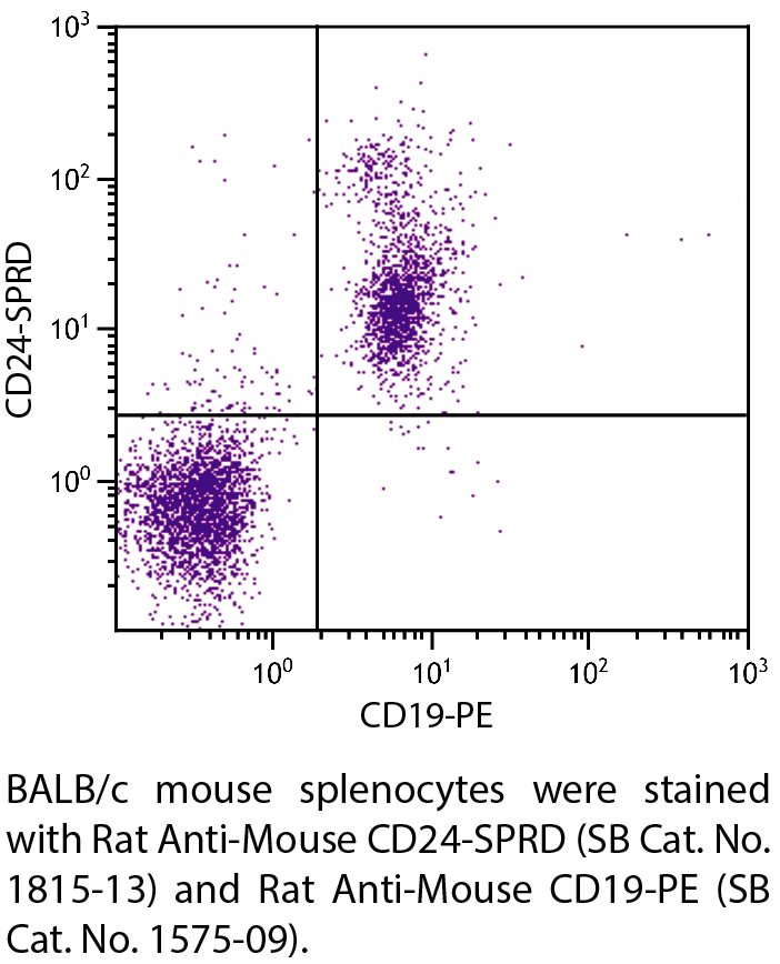 Rat Anti-Mouse CD24-SPRD - 0.1 mg