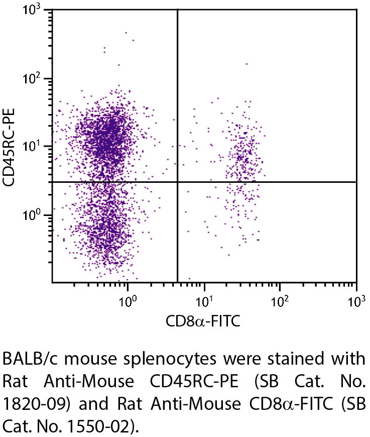 Rat Anti-Mouse CD45RC-PE - 0.1 mg