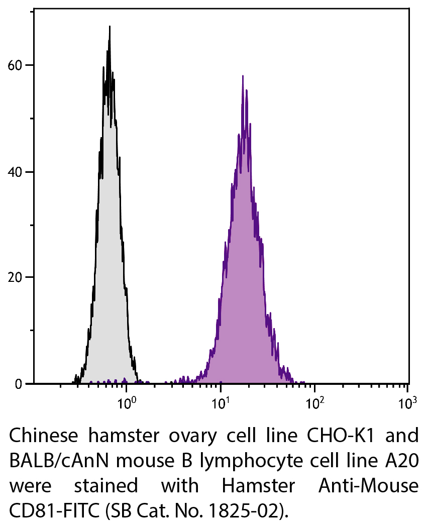 Hamster Anti-Mouse CD81-FITC - 0.5 mg