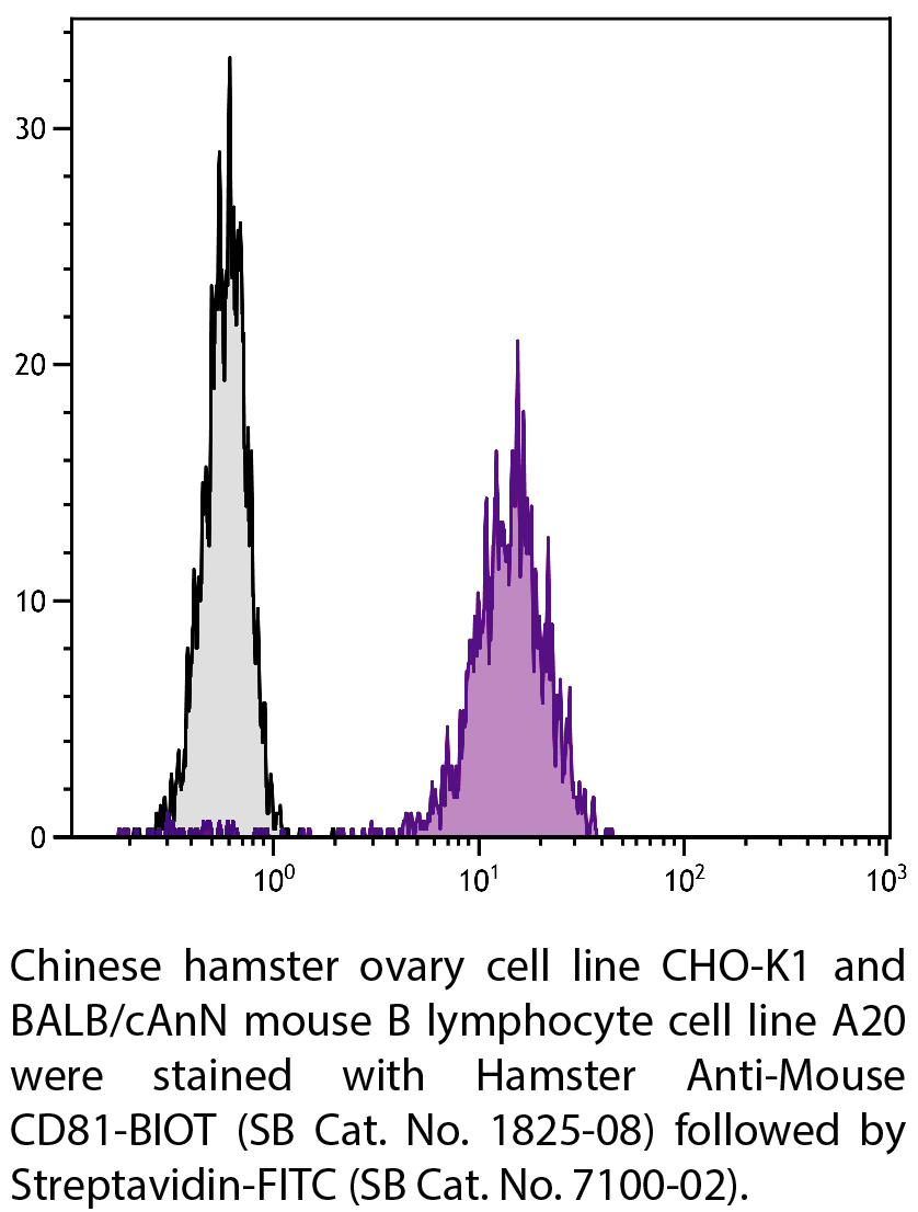 Hamster Anti-Mouse CD81-BIOT - 0.5 mg