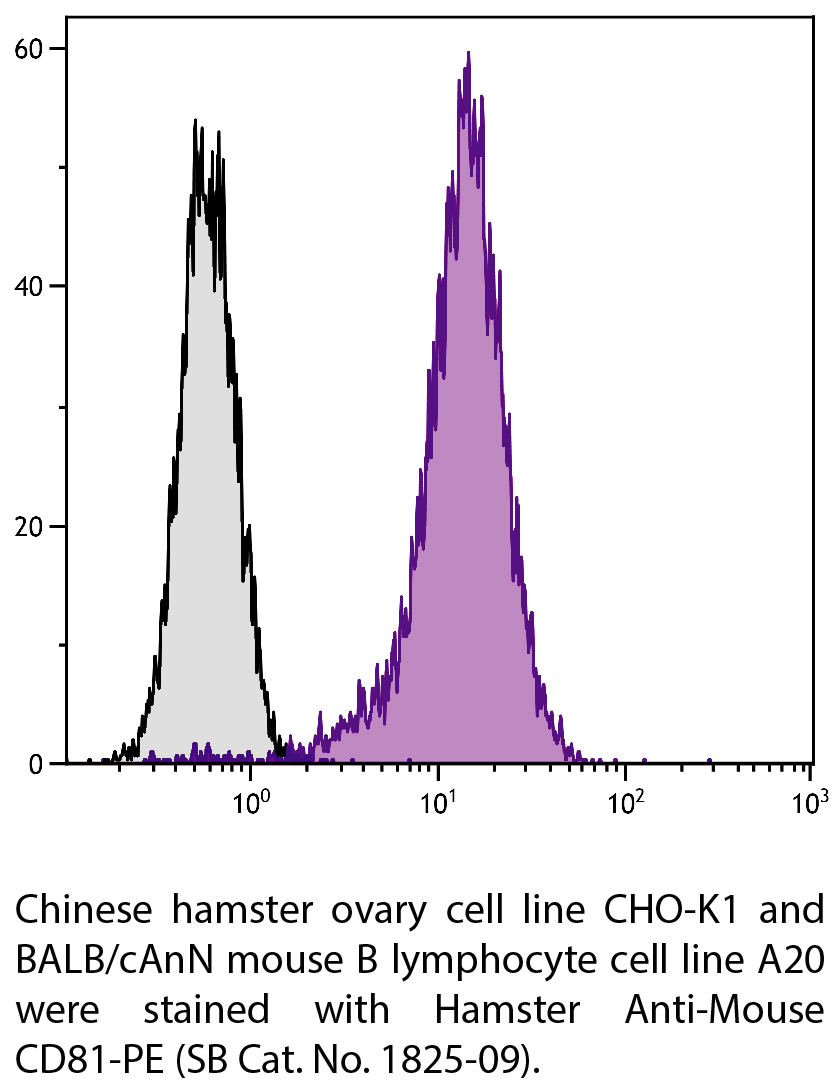 Hamster Anti-Mouse CD81-PE - 0.1 mg