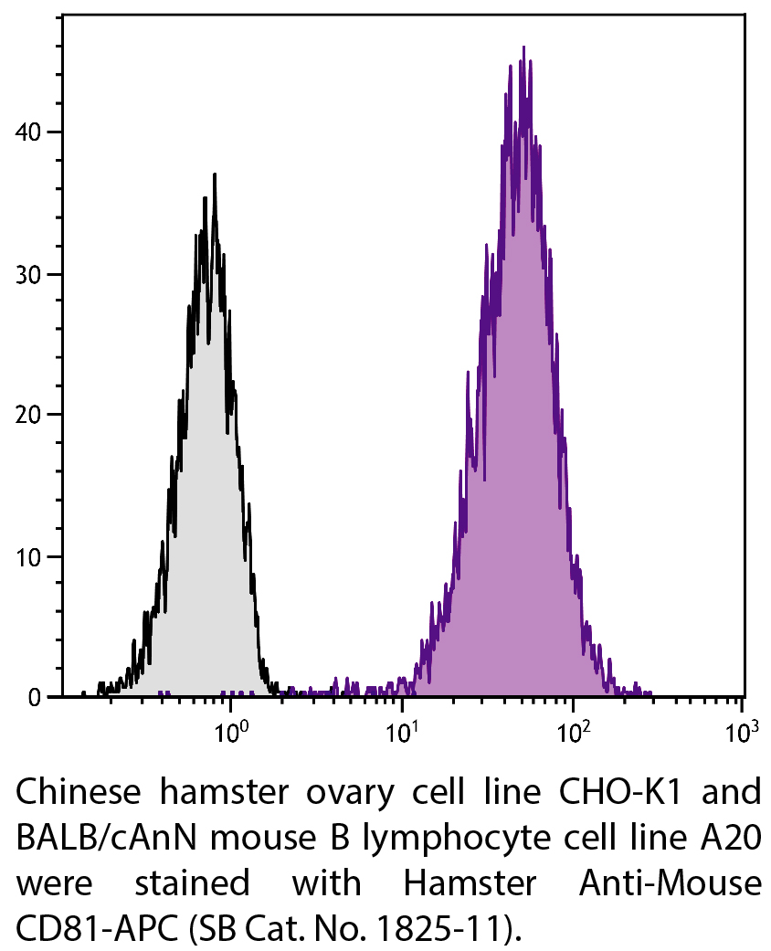Hamster Anti-Mouse CD81-APC - 0.1 mg