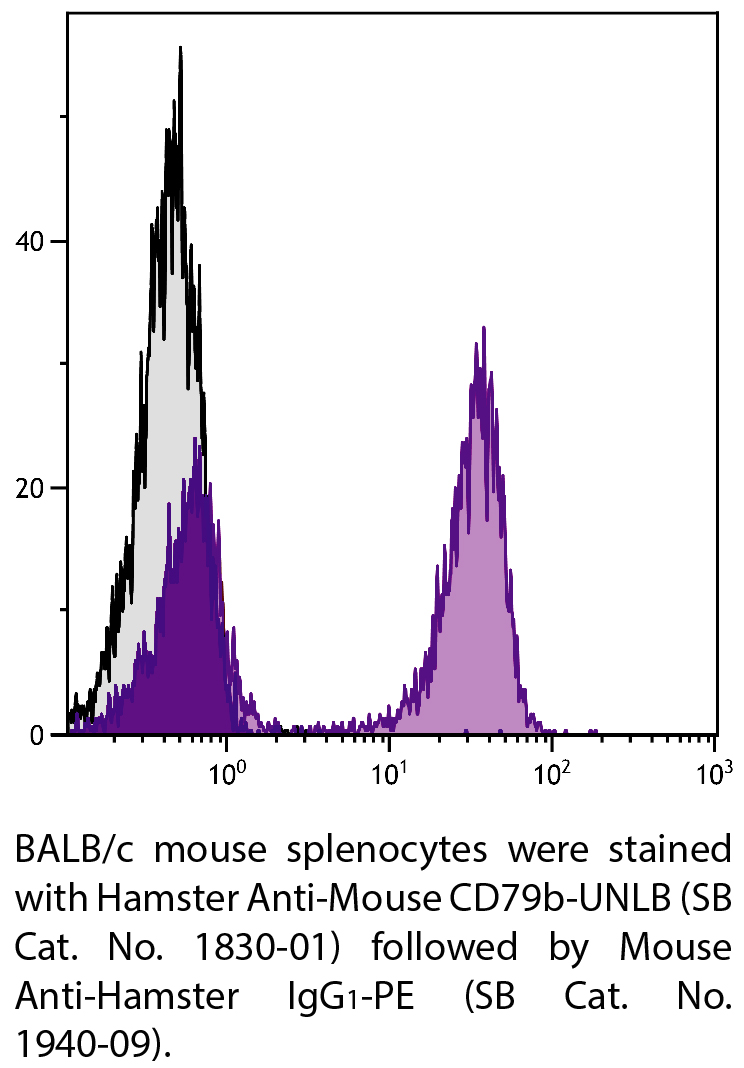 Hamster Anti-Mouse CD79b-UNLB - 0.5 mg