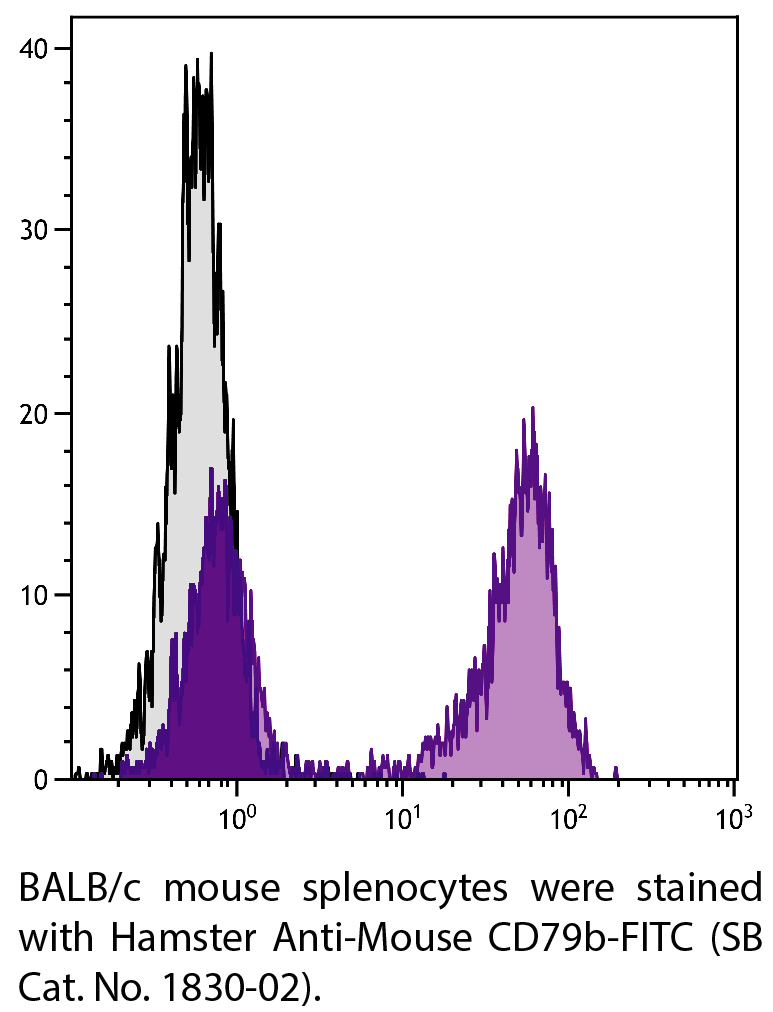Hamster Anti-Mouse CD79b-FITC - 0.5 mg