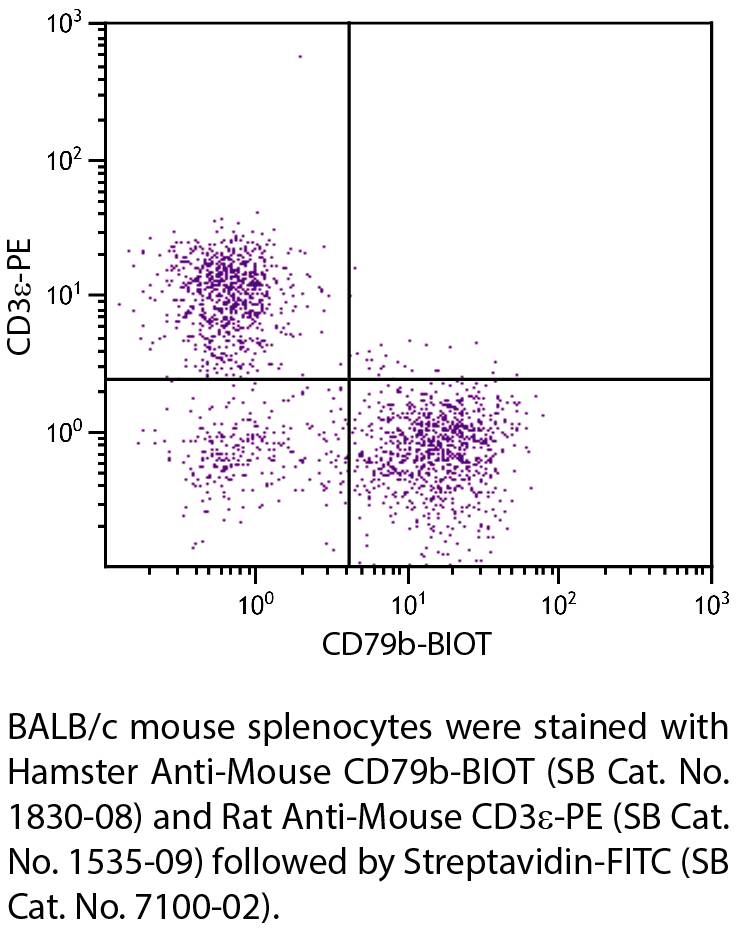 Hamster Anti-Mouse CD79b-BIOT - 0.5 mg