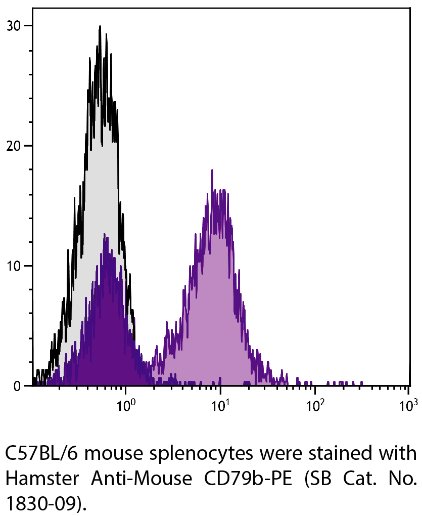 Hamster Anti-Mouse CD79b-PE - 0.1 mg