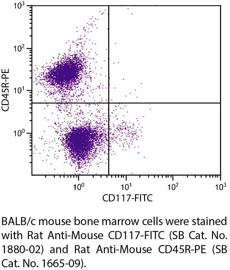 Rat Anti-Mouse CD117-FITC - 0.5 mg