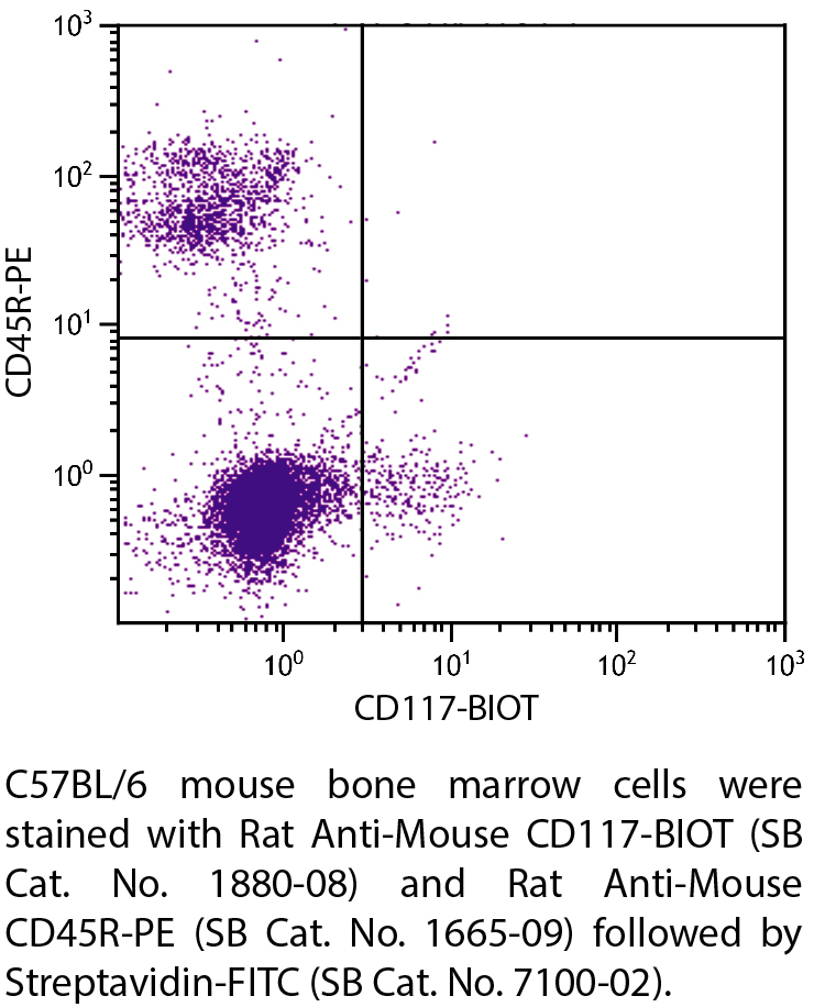 Rat Anti-Mouse CD117-BIOT - 0.5 mg