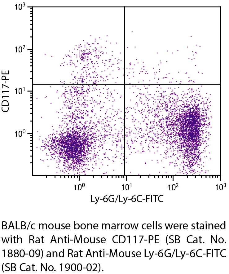 Rat Anti-Mouse CD117-PE - 0.1 mg