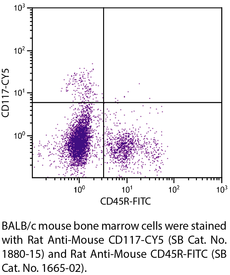 Rat Anti-Mouse CD117-CY5 - 0.1 mg