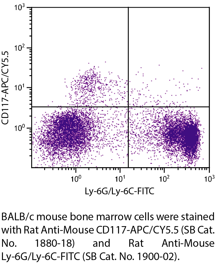 Rat Anti-Mouse CD117-APC/CY5.5 - 0.1 mg
