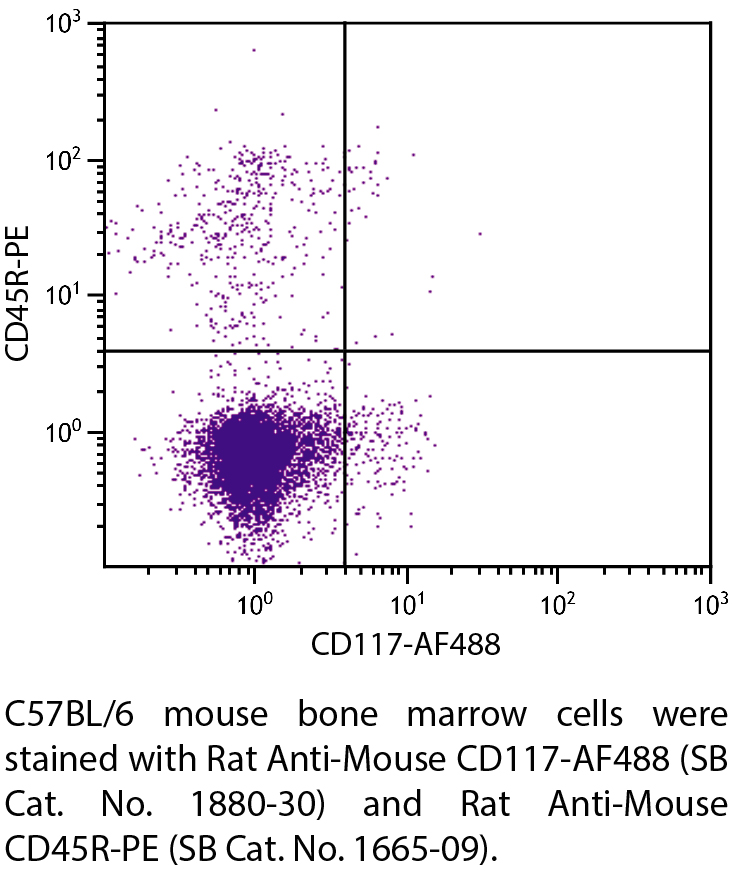 Rat Anti-Mouse CD117-AF488 - 0.1 mg