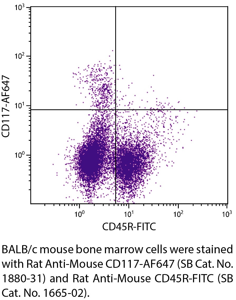 Rat Anti-Mouse CD117-AF647 - 0.1 mg