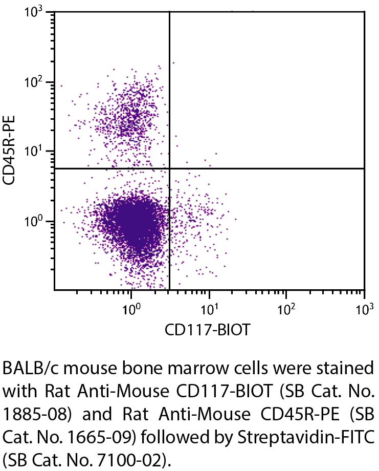 Rat Anti-Mouse CD117-BIOT - 0.5 mg