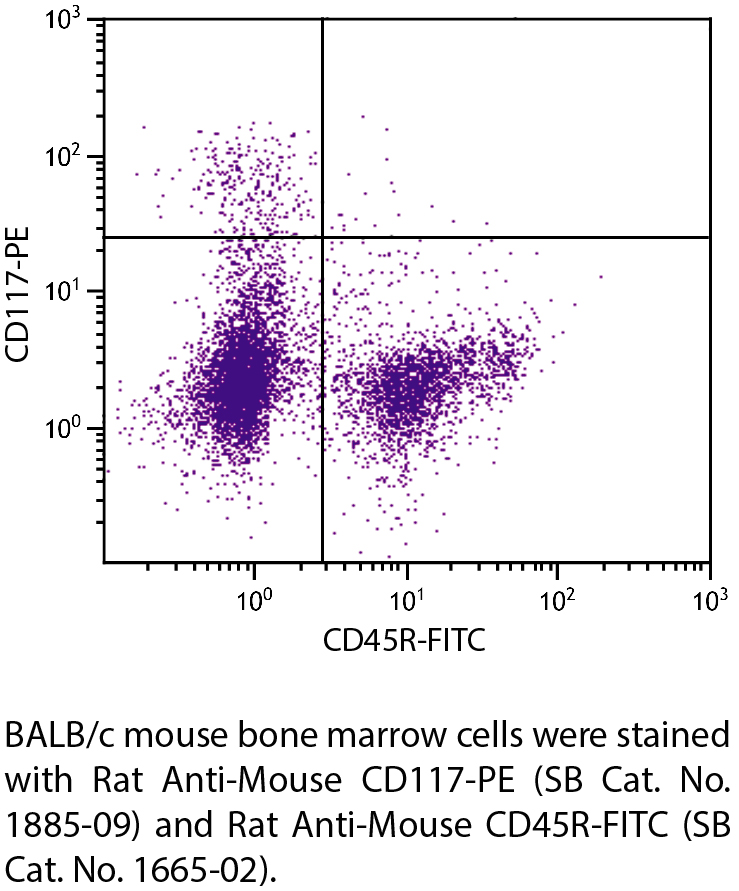 Rat Anti-Mouse CD117-PE - 0.1 mg