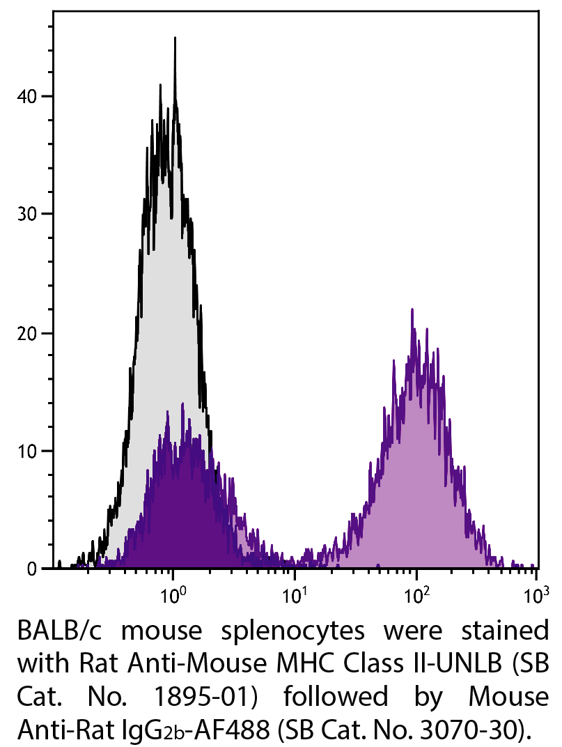 Rat Anti-Mouse MHC Class II-UNLB - 0.5 mg