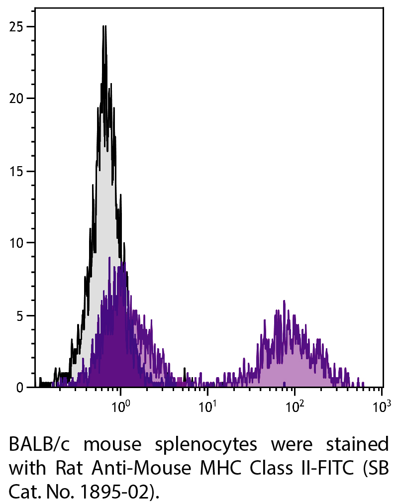 Rat Anti-Mouse MHC Class II-FITC - 0.5 mg