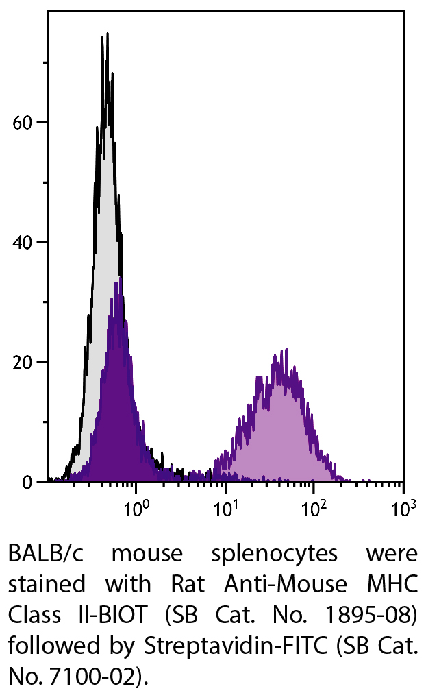 Rat Anti-Mouse MHC Class II-BIOT - 0.5 mg