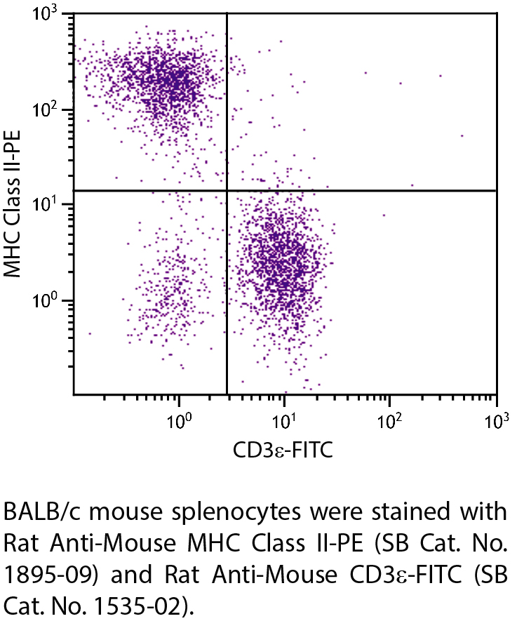 Rat Anti-Mouse MHC Class II-PE - 0.1 mg