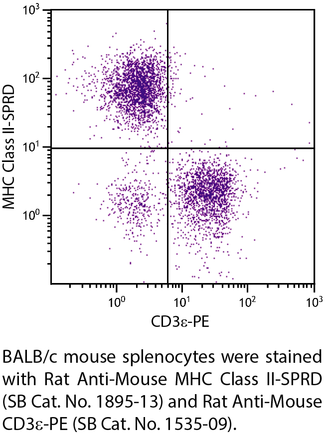 Rat Anti-Mouse MHC Class II-SPRD - 0.1 mg