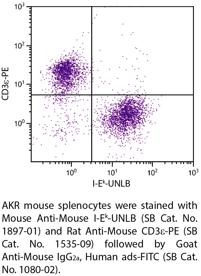 Mouse Anti-Mouse I-Ek-UNLB - 0.5 mg