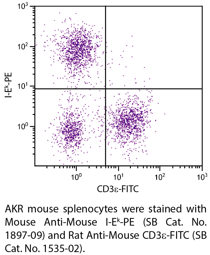 Mouse Anti-Mouse I-Ek-PE - 0.1 mg