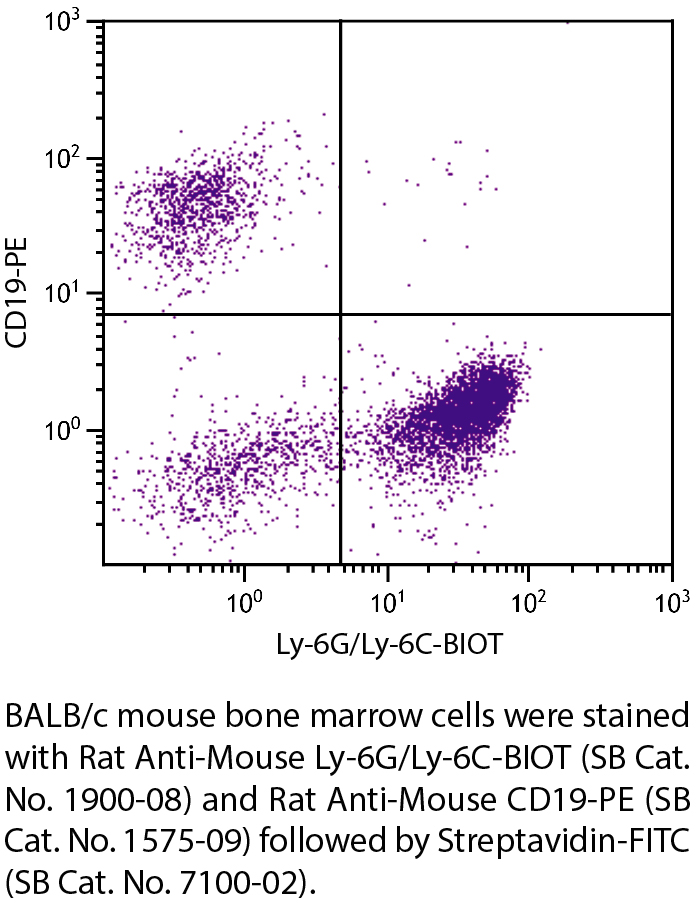 Rat Anti-Mouse Ly-6G/Ly-6C-BIOT - 0.5 mg