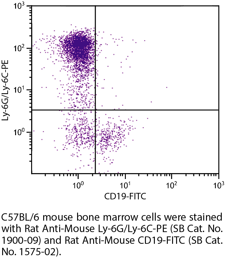 Rat Anti-Mouse Ly-6G/Ly-6C-PE - 0.2 mg