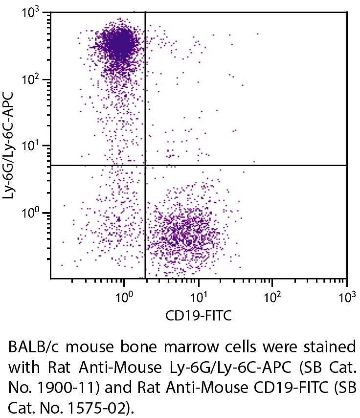 Rat Anti-Mouse Ly-6G/Ly-6C-APC - 0.1 mg