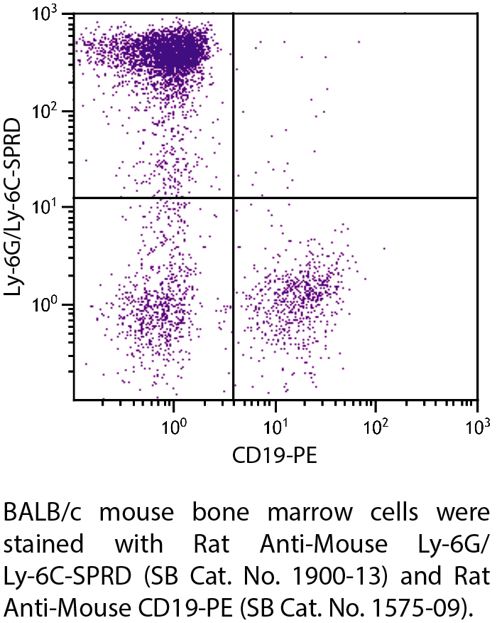 Rat Anti-Mouse Ly-6G/Ly-6C-SPRD - 0.1 mg