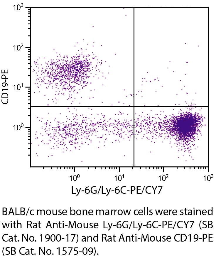 Rat Anti-Mouse Ly-6G/Ly-6C-PE/CY7 - 0.1 mg
