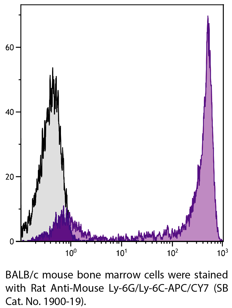 Rat Anti-Mouse Ly-6G/Ly-6C-APC/CY7 - 0.1 mg